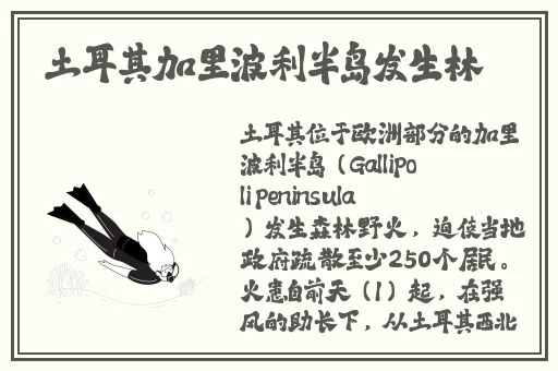 小猪视频观看下载